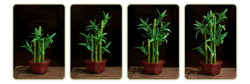 3D Printed Flexi Plants